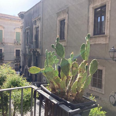 Aita Domus Apartman Catania-Fontanarossai nemzetközi repülőtér Kültér fotó