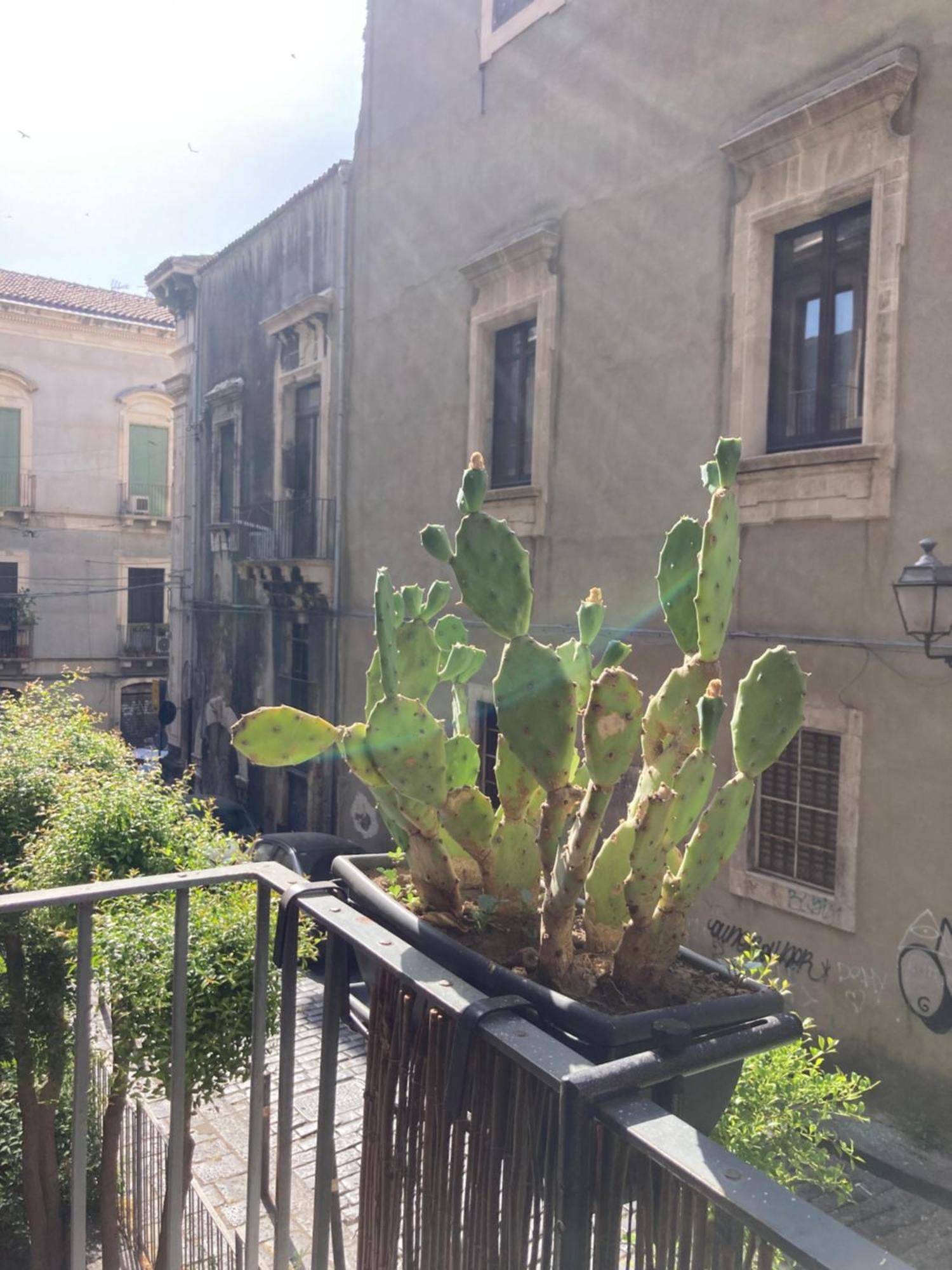 Aita Domus Apartman Catania-Fontanarossai nemzetközi repülőtér Kültér fotó